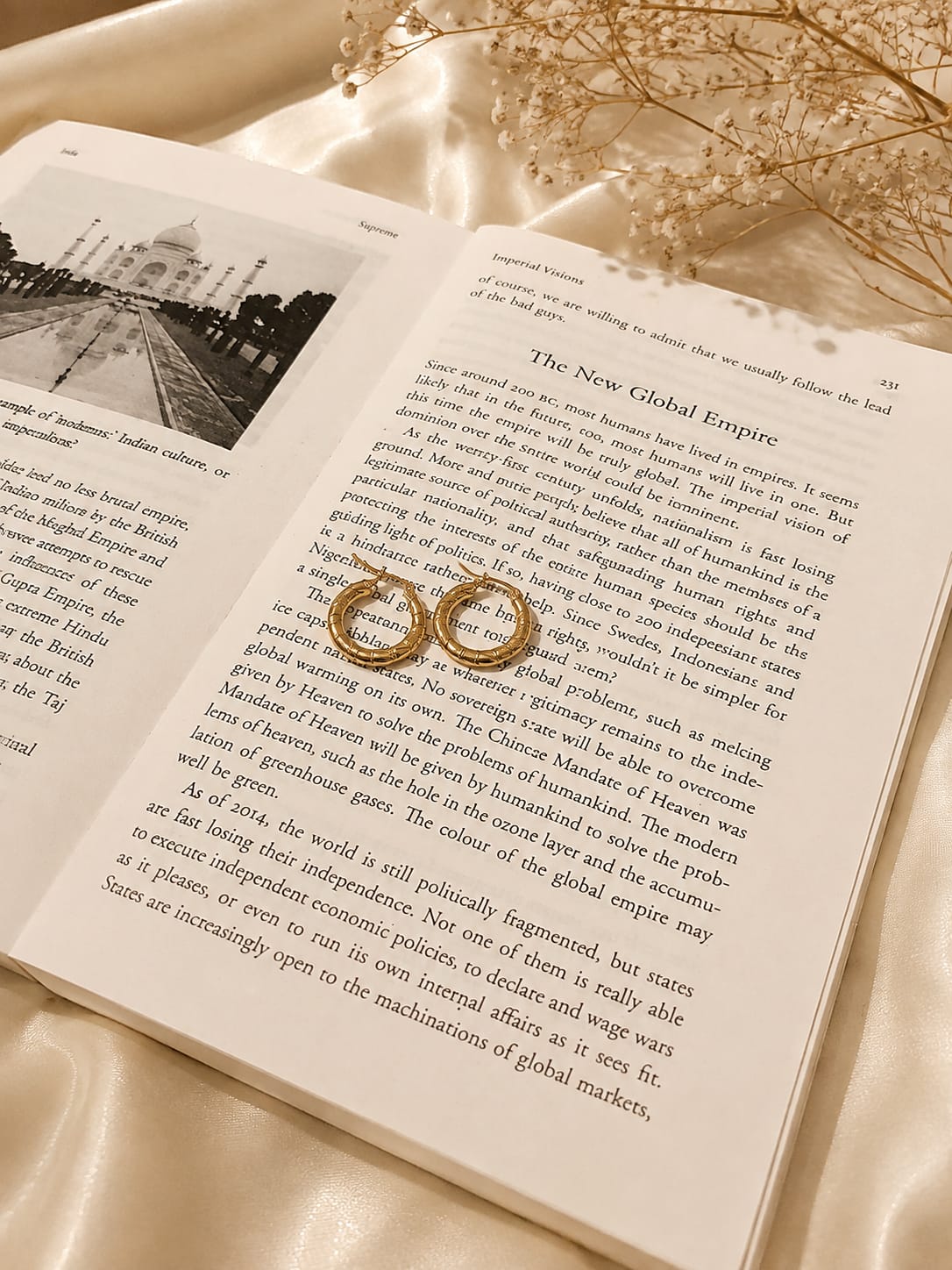Golden Hoop Earrings